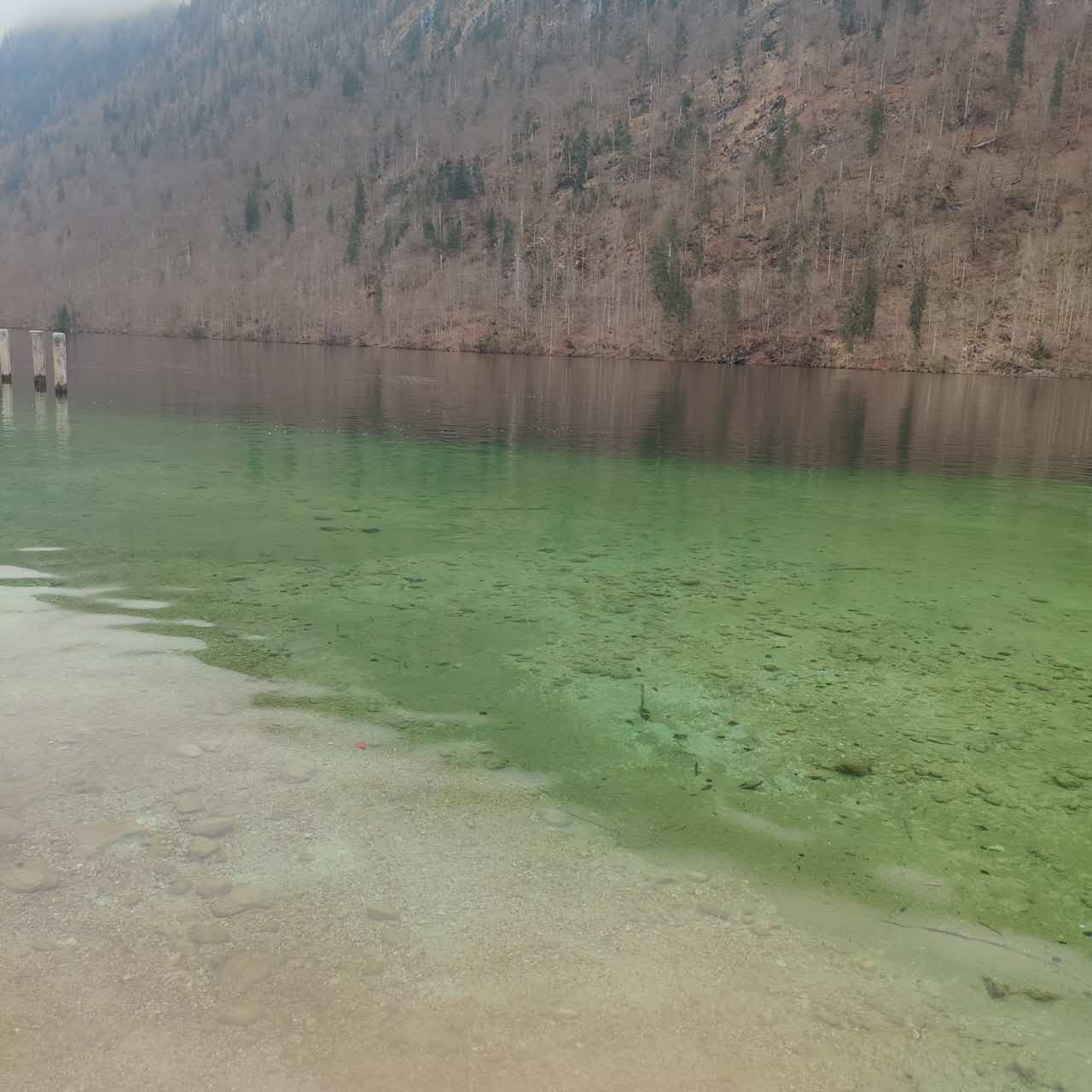 巴伐利亚沿途的洋葱圆顶教堂